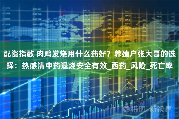 配资指数 肉鸡发烧用什么药好？养殖户张大哥的选择：热感清中药退烧安全有效_西药_风险_死亡率
