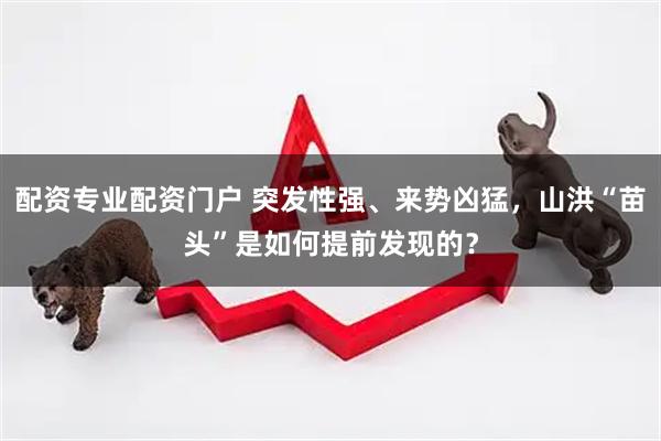 配资专业配资门户 突发性强、来势凶猛，山洪“苗头”是如何提前发现的？