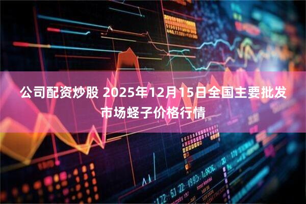 公司配资炒股 2025年12月15日全国主要批发市场蛏子价格行情