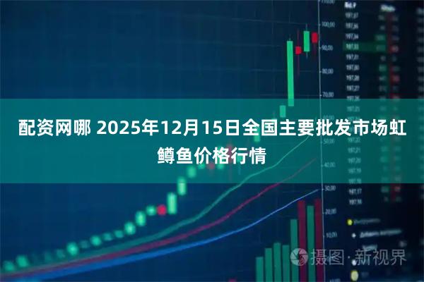 配资网哪 2025年12月15日全国主要批发市场虹鳟鱼价格行情